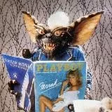 Hey, show us some tits, we had a bad day🌚