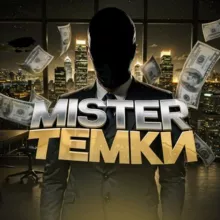 МИСТЕР ТЕМКИ