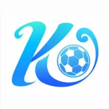 开云体育官方频道 kaiyun