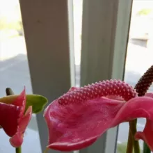 Открой сердце любви 🥰