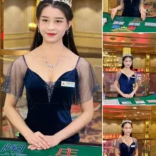 新世界客服|新世界公司|新世界赌场
