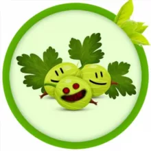 КРИНЖОВНИК