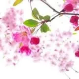 反差人妻／熟女乱伦／极品良家