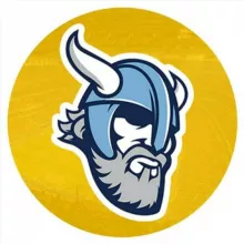 VIKING BET | ЛУЧШИЕ ПРОГНОЗЫ 💸