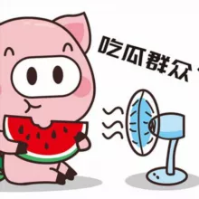吃瓜群众🍉