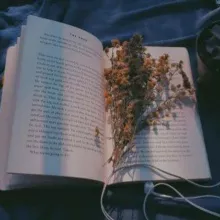 𝓓𝓪𝓻𝓴 𝓣𝓮𝓶𝓹𝓽𝓪𝓽𝓲𝓸𝓷𝓼