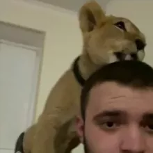 Давид | Betting Father