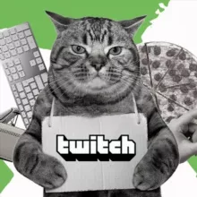 💥Заработок на Twitch | Абуз платформы Твич