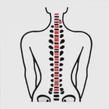 Стоп сутулость и сколиоз. Советы экспертов👨🏼⚕️