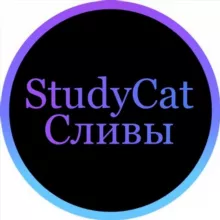 Сливы вебинаров / онлайн школ