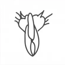 Раскрепощение