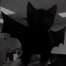 здесь уютно?