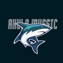 Akula Music 🦈