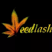 ویدلش | weedlashya