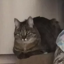 🔞юрка-роботатор, мама мойрочки 🥺