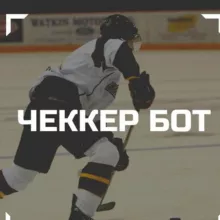 ЧЕККЕР | ХОККЕЙ БОТ