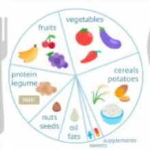 evidence-based vegan
