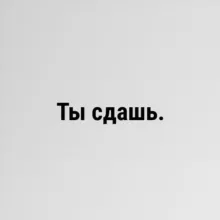 СЛИВЫ ОГЭ, ЕГЭ