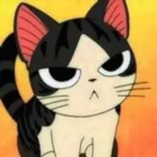 Vicineko
