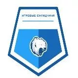 ИГРОВЫЕ 'СКЛАДЧИНА'