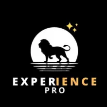 EXPÉRIENCE PRO 🥇