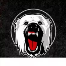 Чат канала White Dog 🥎[Ставки и прогнозы на спорт]