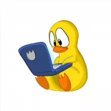 СПОРТИВНЫЕ КОСТЮМЫ ОПТОМ