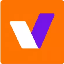 V.Partners