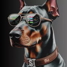 Big Dog Intel🐾