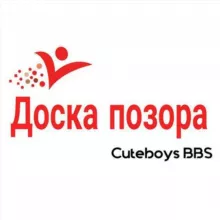 ДОСКА ПОЗОРА