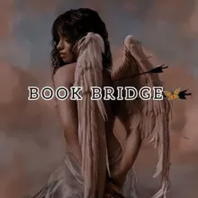 B O O K. B R I D G E🦋❤️‍🔥