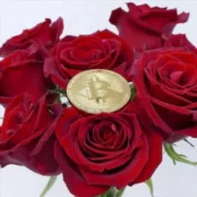 Rose Challenge - 0.1BTC to 100BTC🌹