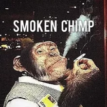 •Smoken Chimp 48•