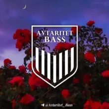 AVTARITET | BASS🐊