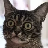 Всё пиздец 18+