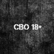 СВО 18+