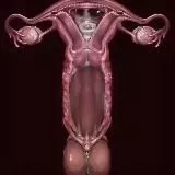 猎奇 性癖 重口 频道 【SEXlieqi】