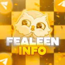 Fealeen l INFO 💛