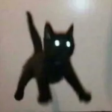 Мемы с Котами | Приколы с Котиками