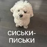 Фильмы 18+ | СЦЕНЫ