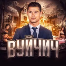 будка вуйчич