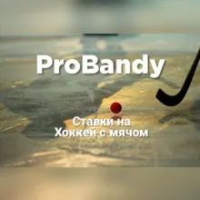 ProBandy | Ставки на хоккей с мячом