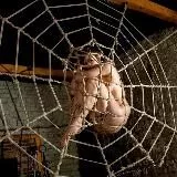 🔞 BDSM | БДСМ