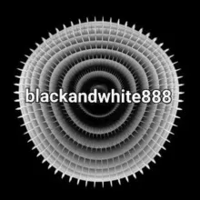 Чёрное и белое