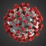 Coronavirus. Covid-19. Коронавирус