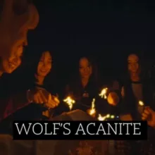 WOLF'S ACANITE.
