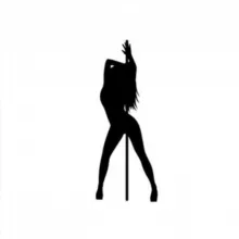 Студийная папка